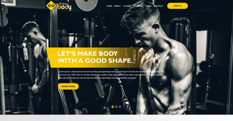 5239b_bodyshape.jpg