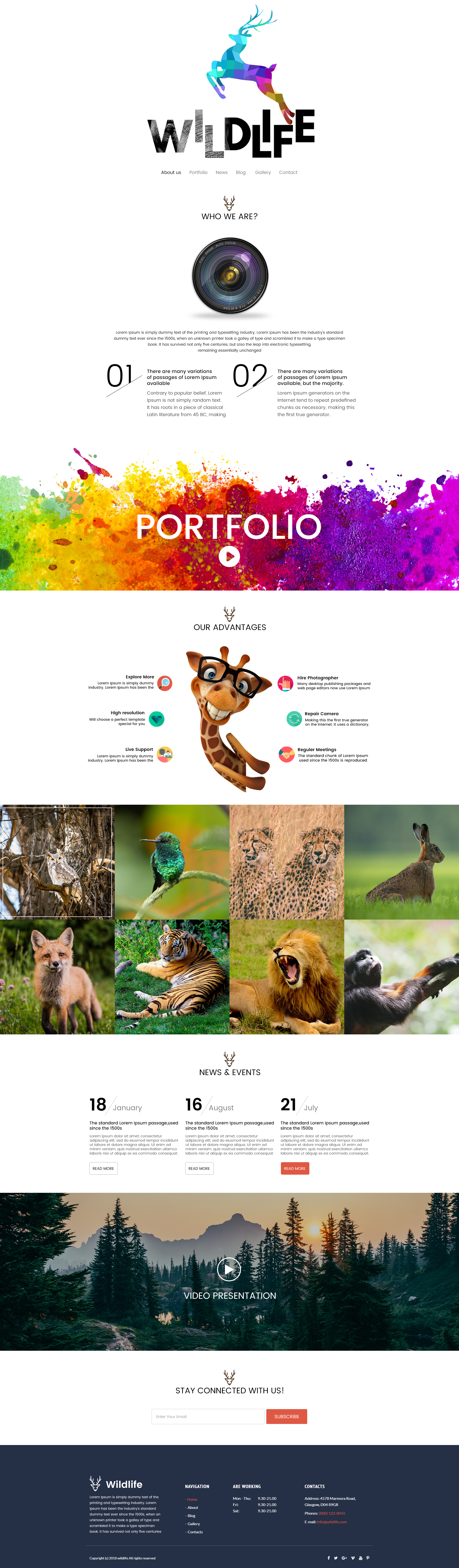 7af93_Wildlife.jpg